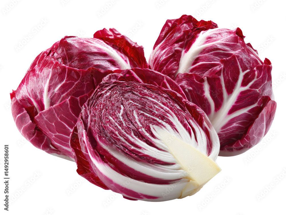Obraz premium Vibrant Radicchio: A close-up shot of fresh radicchio leaves displaying their distinctive burgundy and white coloration, a culinary delight, full of healthy vitamins.