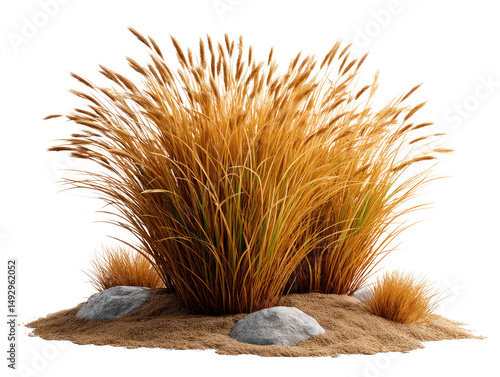 Golden Grass with Rocks: A clump of golden-hued ornamental grass thrives amidst a scattering of grey rocks on a bed of light brown sand, creating a visually appealing texture and color contrast.
