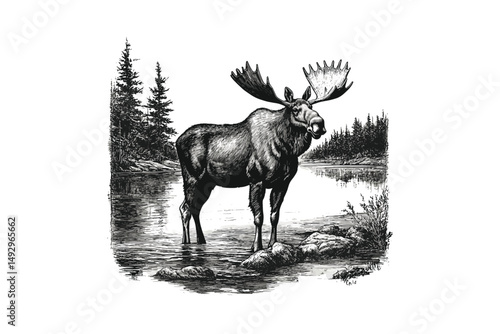 Vintage Moose Engraving, Hand-drawn Mammal in River, Monochrome Wilderness Art, Trendy Black Sketch, Retro Etching, Wildlife Home Decor, Nature Illustration