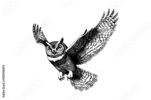 Foto Vintage Owl Illustration, Hand-drawn Bird Sketch, Black and White Animal Etching