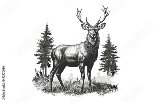 Detailed Stag in Forest, Retro Wildlife Engraving, Rustic Fauna Line Art, Monochrome Mammal Illustration, Vintage Black Sketch, Trendy Nature Etching, Retro Wildlife Art
