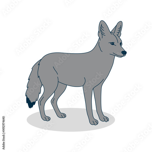 Gray coyote, jackal. Minimalistic vector illustration