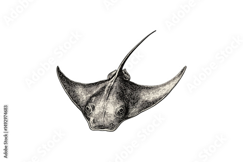 Hand-drawn Stingray Engraving, Vintage Ocean Animal, Monochrome Marine Sketch, Nautical Art, Sea Life Illustration, Black Old Engraving Style, Trendy Underwater Drawing