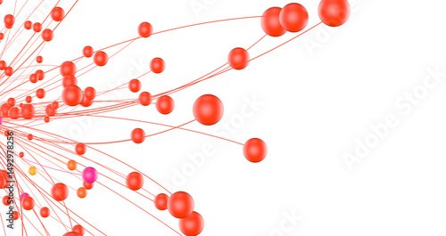 The structure of the networ...