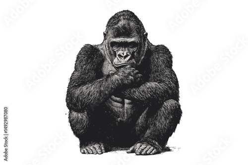 Gorilla Sitting with Hands Crossed, Hand-drawn Illustration, Old Engraving Style, Vintage Primate Sketch, Rustic Animal Wall Art, Antique Wildlife Print, forest animal artwork