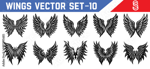Vector illustration of elegant angel and demon black wings fantasy design set for use in digital art books tattoos and gothic branding materials.