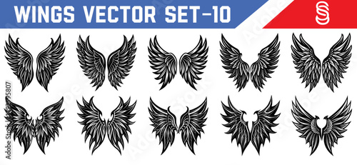 Beautiful black wings vector silhouettes fantasy collection with angelic and demonic designs for tattoo concepts and mystical illustrations.