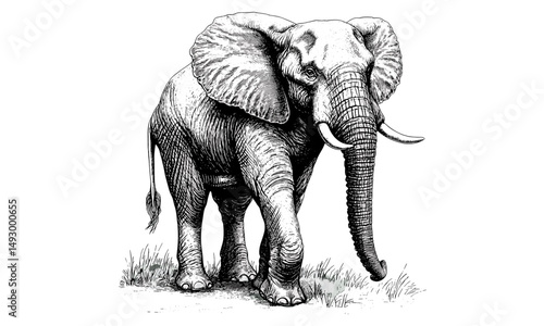 Rustic Nature Print, Elephant in Savanna, Vintage Safari Drawing, Hand-Drawn Mammal, Old Engraving Style, Monochrome Fauna Etching, African wildlife sketch,