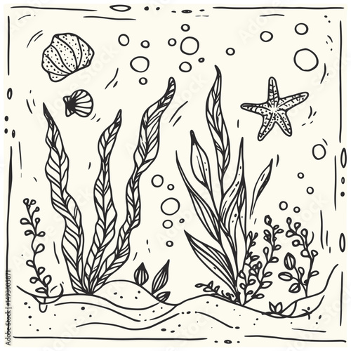 Undersea Line Art: An elegant hand-drawn illustration of underwater flora and fauna, featuring seaweed, seashells, and a starfish, all rendered in a simple, minimalist black line art style. 