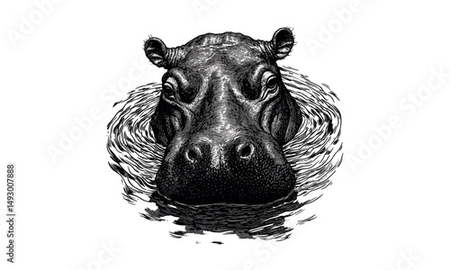Hand-drawn hippo in water, vintage engraving, monochrome etching, African mammal illustration, black sketch style, wildlife art print, old-fashioned engraving, nature decor,