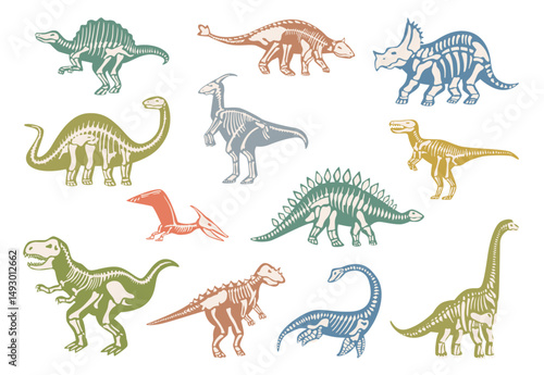 Skeletons of dinosaur from early Jurassic period. Vector isolated fauna and biodiversity of ancient prehistoric times. Extinct dino bones with jaws, claws and long tails. Diversity of prehuman life
