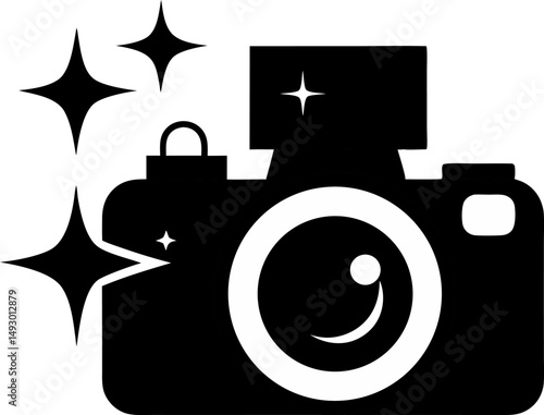 Camera Flash With Sparkle Silhouette Vector Illustration