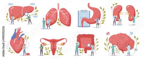 Organ examination. Vector clinical assessment of body parts function. Health care and treatment, diagnostic tests. Neurological and cardiovascular, respiratory and abdominal, hepatic and kidney system