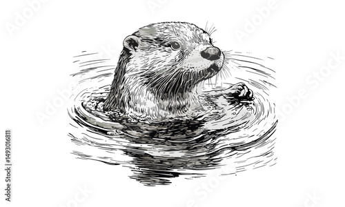Hand-drawn Otter Sketch, Vintage Aquatic Mammal Engraving, Monochrome Etching Illustration, River Animal Decor, Old Engraving Style, Wildlife Art, Trendy Nature Drawing