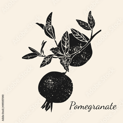 Pomegranate glyph icon. Hand drawn vector illustration in vintage technique of linocut or woodcut stamped.	
