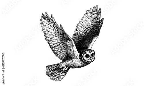 Hand-drawn engraving of owl flying at night, vintage wildlife etching, monochrome bird of prey line art, rustic animal print, retro nature illustration, detailed fauna drawing, forest wildlife art