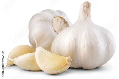 Garlic png. Garlic bulb with cloves on transparent background. White garlic with transparent shadow no background. Transparent png composition. Full depth of field.