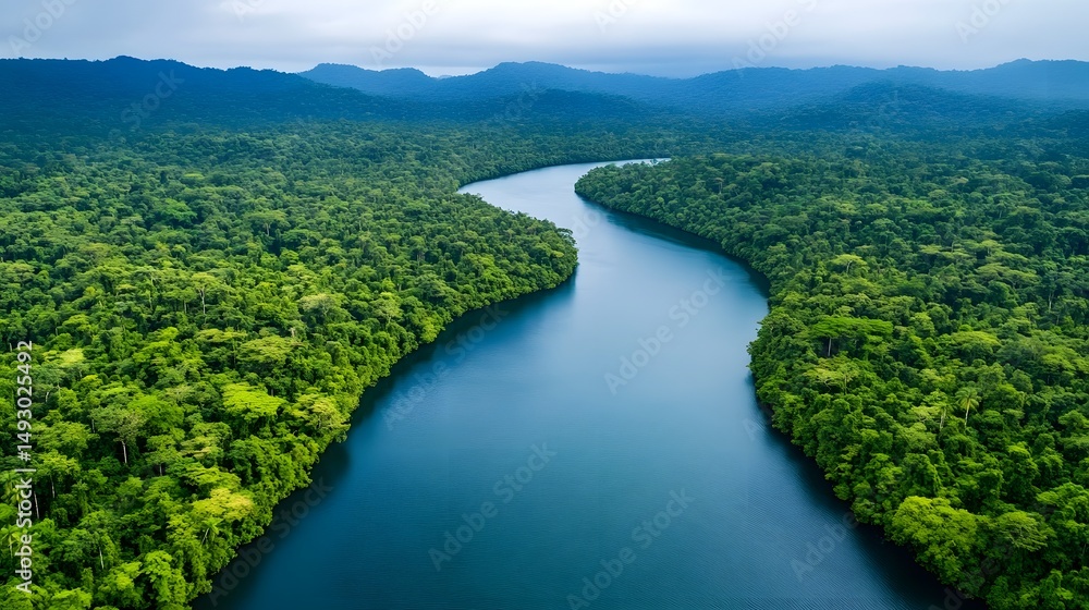 Naklejka premium Winding river flowing through lush tropical forest