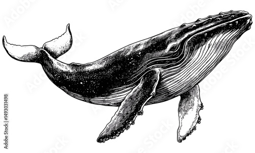 Whale in Sea Illustration, Old Etching Style, Vintage Black Ink Sketch, Coastal Wall Art, Nautical Mammal Decor, Monochrome Ocean Drawing, maritime home decor,