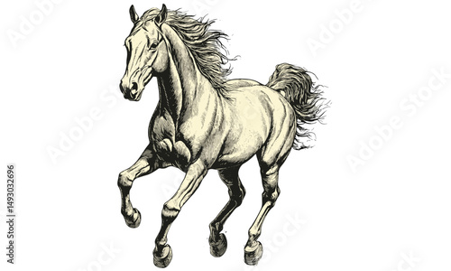 Hand-drawn Wild Horse Galloping, Monochrome Equine Line Art, Vintage Animal Etching, Rustic Safari Print, Detailed Wildlife Illustration, Retro Fauna Drawing, old engraving style