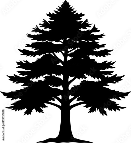 Cedar tree
black silhouette vector icon on white or transparent  background