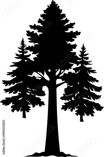 Redwood tree
black silhouette vector icon on white or transparent  background