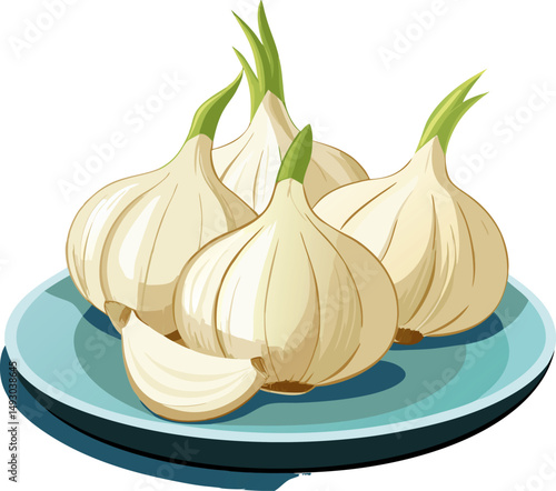 Fresh garlic   in  the plate  vector art  illustration  