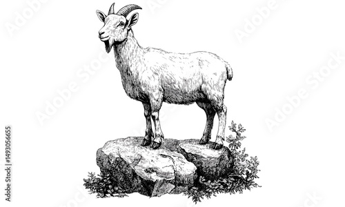 Rustic Mountain Goat Illustration, Vintage Wildlife Line Art, Hand-drawn Engraving, Monochrome Animal Drawing, Nature Wall Decor Print, Old Engraving Style, Mountain Fauna Sketch,