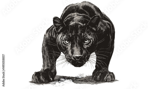 Vintage Panther Illustration, Black Sketch, Rustic Animal Print, Crouching Wild Cat, Old Engraving Style, Hand-drawn Wildlife Art, Antique Wall Decor, Wild Cat Poster
