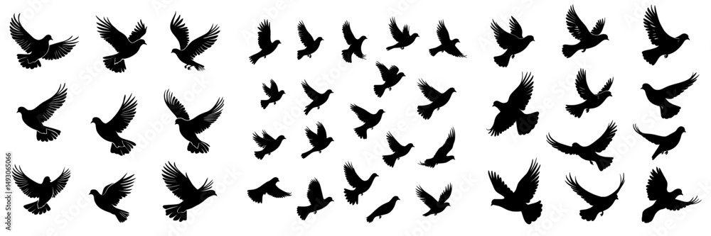 Fototapeta premium A flock of pigeons rises up, forming a black silhouette against a white backdrop