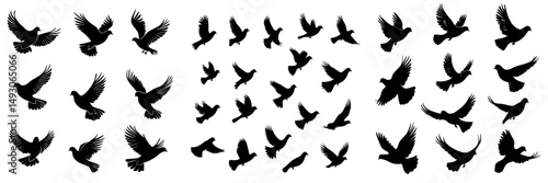 A flock of pigeons rises up, forming a black silhouette against a white backdrop