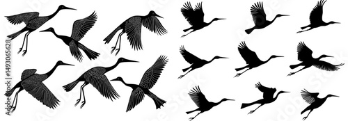 Realistic depictions of modern silhouettes of flying birds of prey in a set illustration