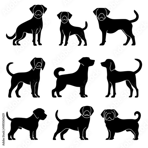 A silhouette set of dog breeds is presented in a modern illustration from the side
