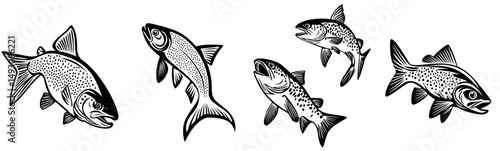 A hand-drawn modern illustration features salmon and trout, presented as a sketch of fish in isolation