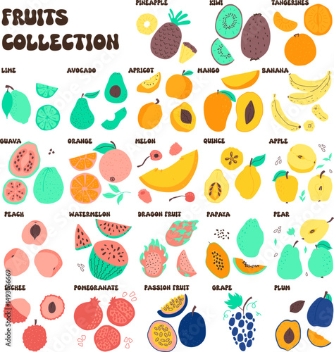 Colorful Hand Drawn Fruit Collection – Cute Cartoon Vector Set of Tropical and Summer Fruits Vector illustration of a colorful collection of hand drawn fruits with names. Includes tropical and seasona