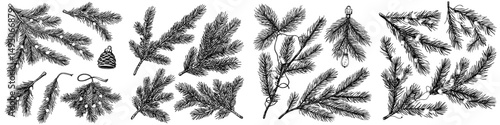 Modern isolated fir tree branches with lights on a white background represent a Christmas greeting and festive illustration of a branch tree