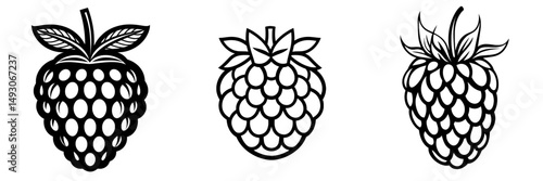 Modern illustration presents raspberry fruit in a continuous line art drawing style with a minimalist black linear sketch set against a white background