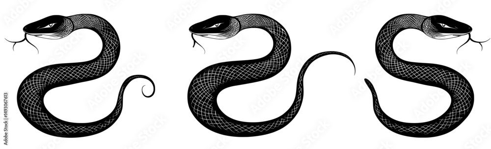 Obraz premium Three black snakes are presented as silhouettes, with one isolated snake icon on a white background, and another as an abstract sign, all in a modern illustration