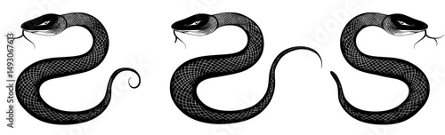 Three black snakes are presented as silhouettes, with one isolated snake icon on a white background, and another as an abstract sign, all in a modern illustration