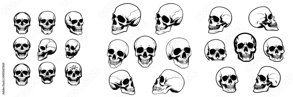 Fototapeta premium A hand-drawn skull is depicted, showcasing anatomical skulls from various angles, reminiscent of gothic tattoos, along with a human skeleton's dead head, suitable for Halloween engravings, in a