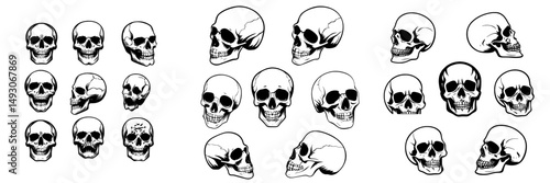 A hand-drawn skull is depicted, showcasing anatomical skulls from various angles, reminiscent of gothic tattoos, along with a human skeleton's dead head, suitable for Halloween engravings, in a