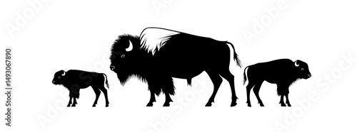 Isolated on a white background, a modern illustration of a Bison family silhouette features a herd of Buffalo, symbolizing America's strength and connection to Indian culture, with a male, female,
