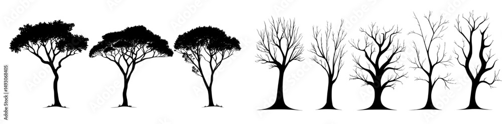 Obraz premium The silhouettes of several deciduous tree types appear on a white background