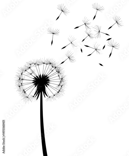 The image features a black silhouette of a dandelion with flying seeds on a white background, presented as a modern monochrome drawing that showcases a beautiful dandelion design and an abstract