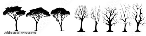 The silhouettes of several deciduous tree types appear on a white background