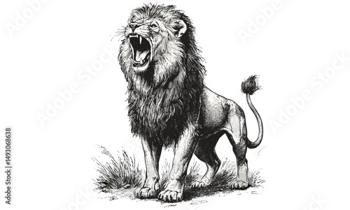 Fierce Lion Retro Engraving, Savannah Wildlife Etching, Monochrome Wild Cat Line Art, Vintage Safari Animal Print, Rustic Nature Drawing, Detailed Fauna Illustration, old engraving style