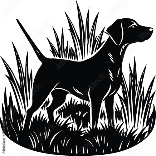 Majestic Hunting Dog Silhouette in Tall Grass