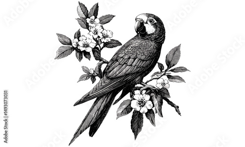 Vintage bird line art, monochrome ornithology etching, retro engraving of parrot in tropical tree, antique fauna drawing, rustic wildlife print, detailed nature illustration, black sketch