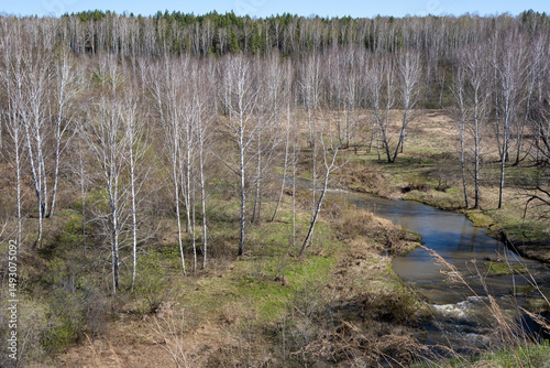 Spring landscape in a Siberian forest with a river