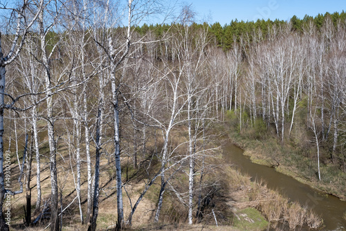 A forest landscape with a river in late spring in Siberia